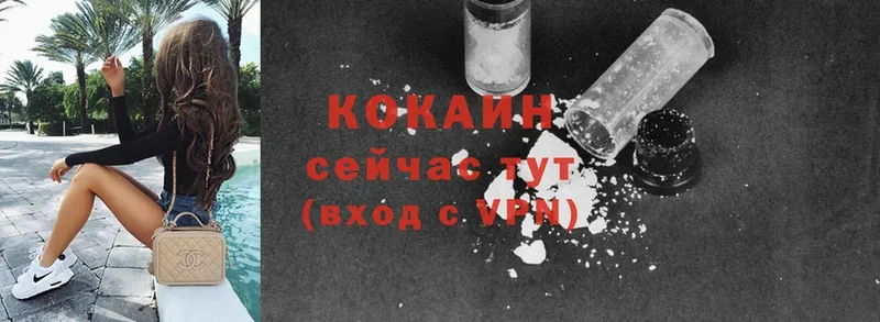 Cocaine FishScale  купить наркоту  Гаврилов-Ям 